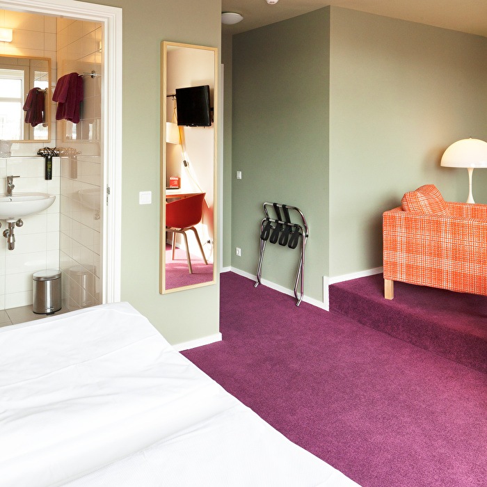 The Neighbour's Magnolia